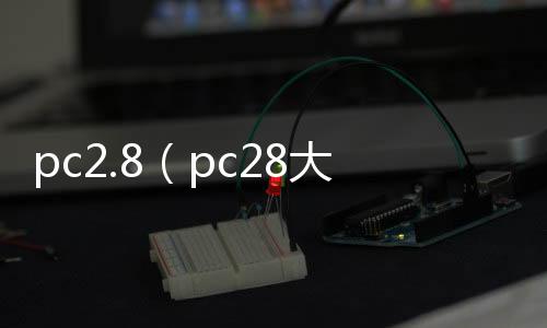 pc2.8（pc28大小单双死公式）